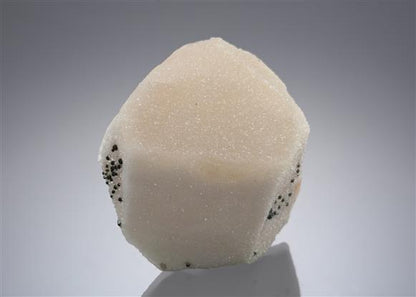 CC15427 specimen image