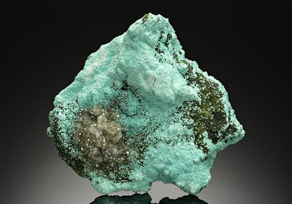 CC15449 specimen image