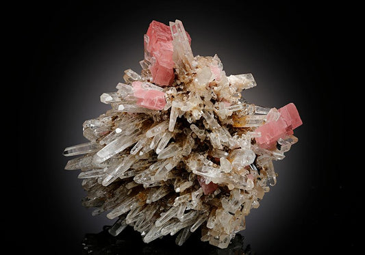 CC15458 specimen image