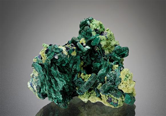 CC15465 specimen image