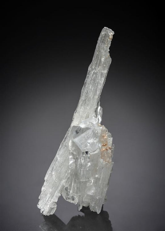 CC15487 specimen image