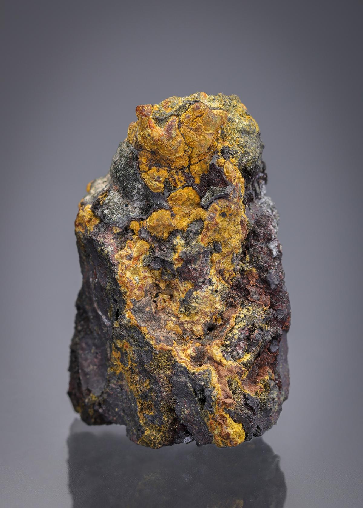 CC15490 specimen image