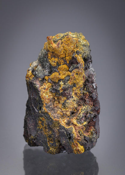 CC15490 specimen image