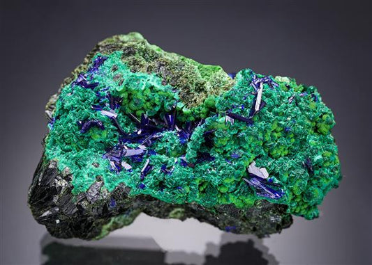 CC15491 specimen image