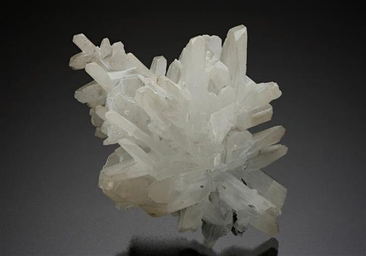 CC15500 specimen image