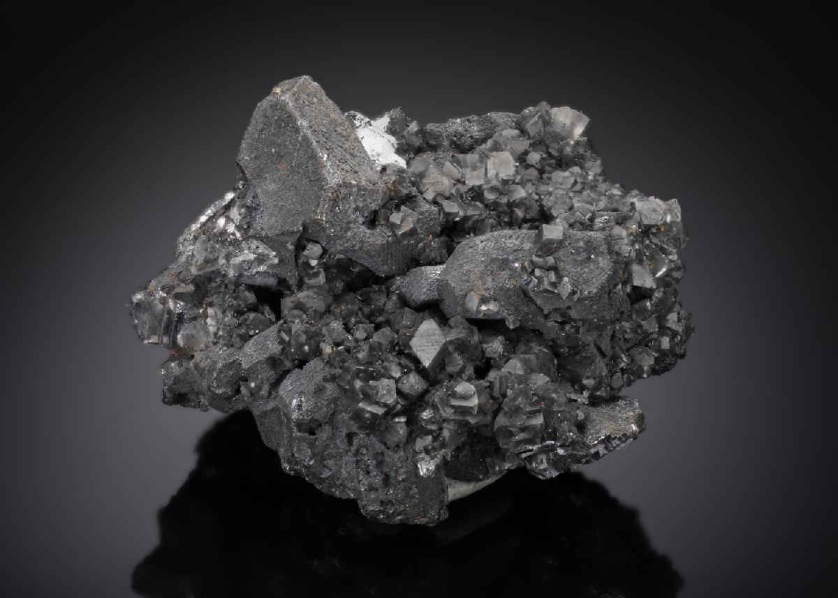 CC15511 specimen image