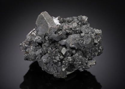 CC15511 specimen image
