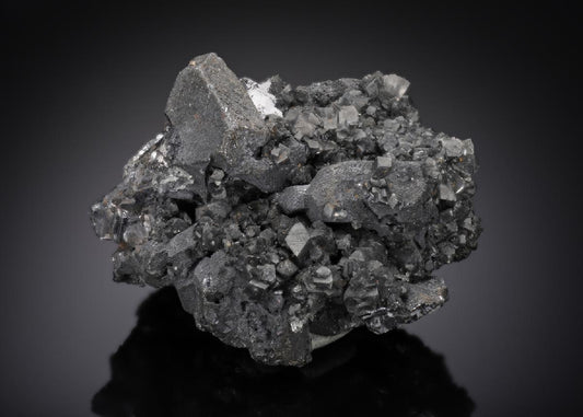 CC15511 specimen image