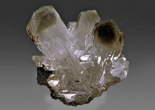 CC15512 specimen image