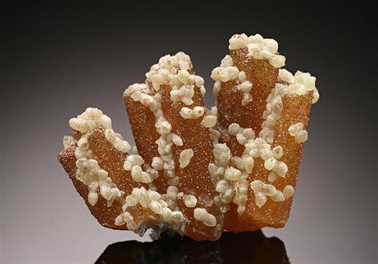 CC15513 specimen image