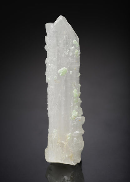 CC15514 specimen image
