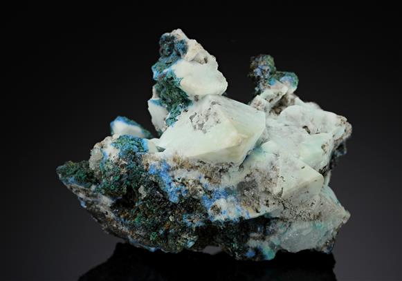 CC15522 specimen image