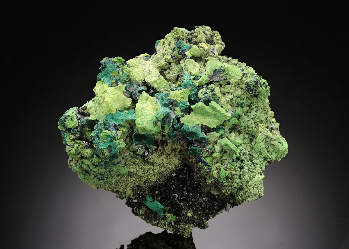 CC15528 specimen image