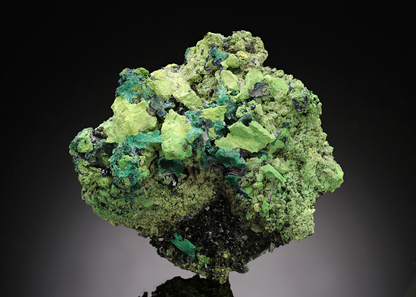 CC15528 specimen image