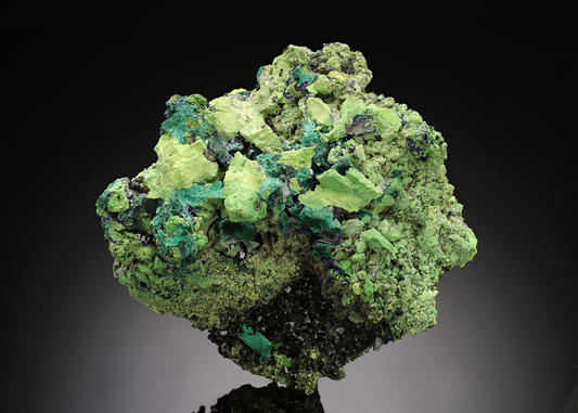 CC15528 specimen image