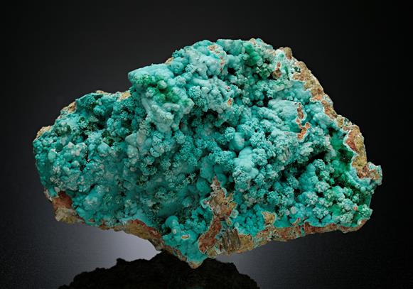 CC15551 specimen image