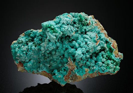 CC15551 specimen image