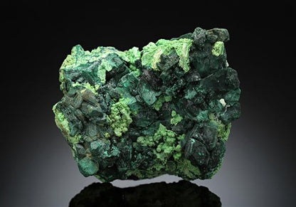 CC15565 specimen image
