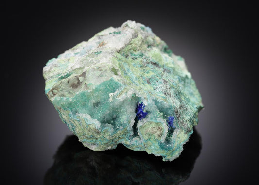 CC15570 specimen image