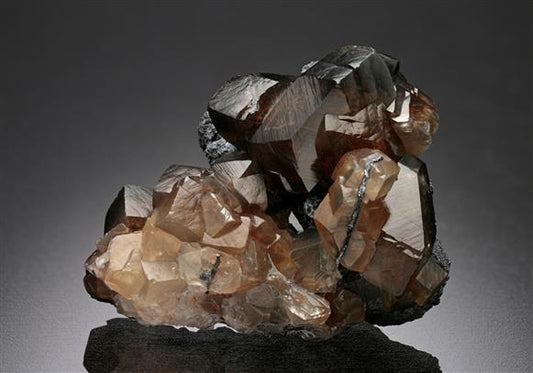 CC15587 specimen image