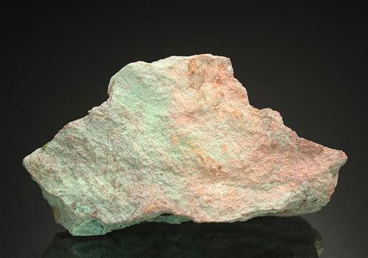 CC15599 specimen image