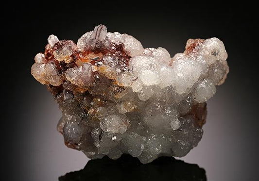 CC15617 specimen image