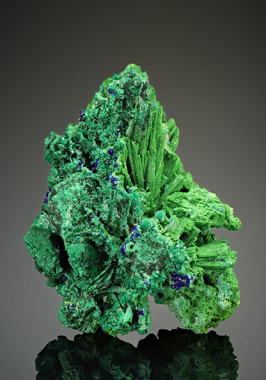 CC15621 specimen image