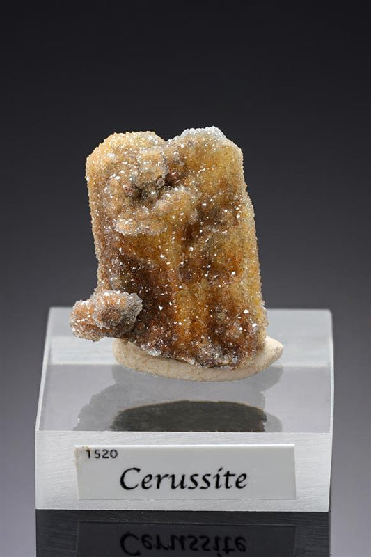 CC15630 specimen image