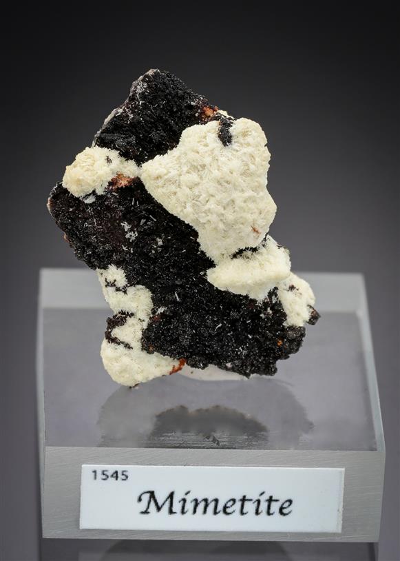 CC15631 specimen image