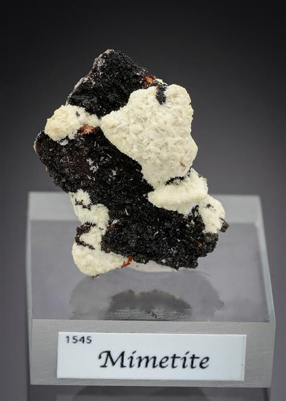 CC15631 specimen image