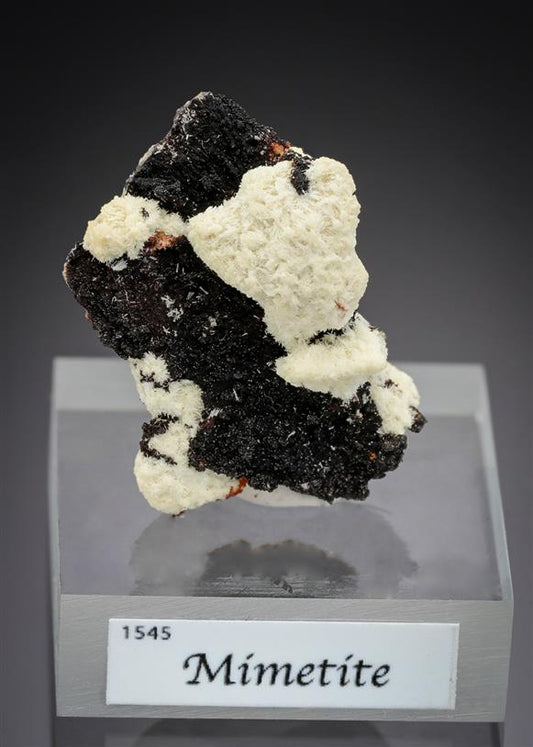 CC15631 specimen image