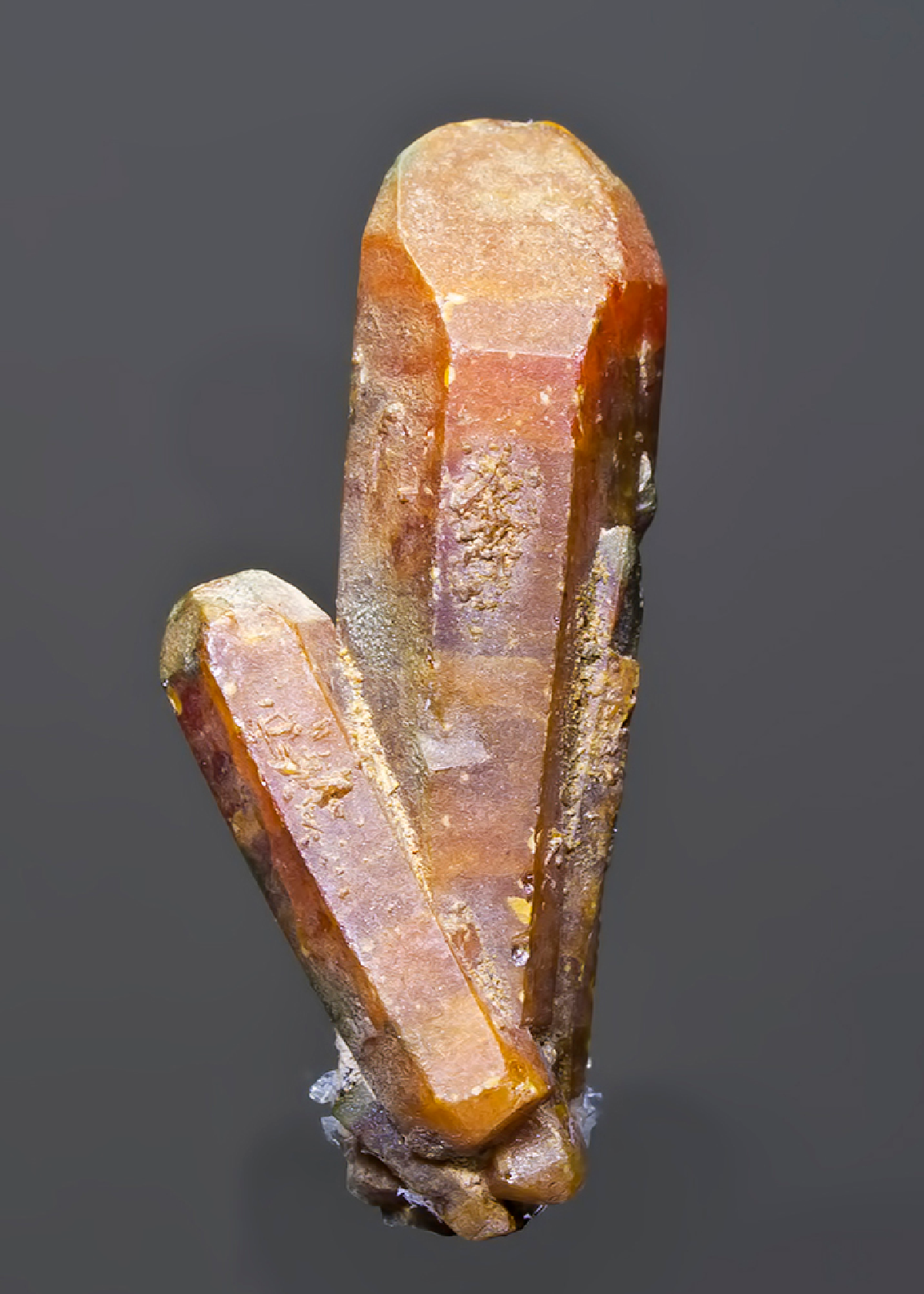 CC15635 specimen image