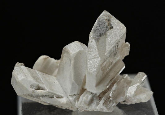CC15647 specimen image