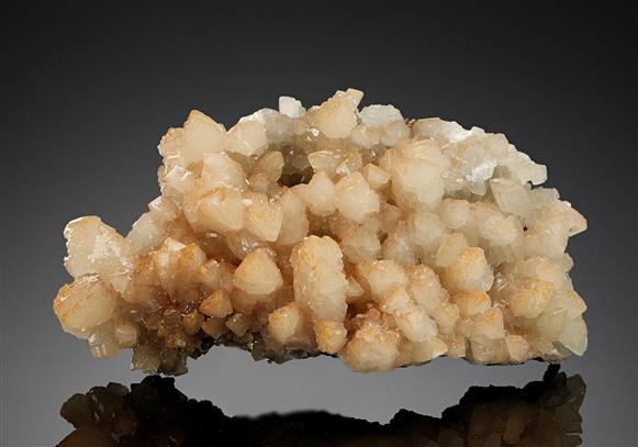 CC15649 specimen image