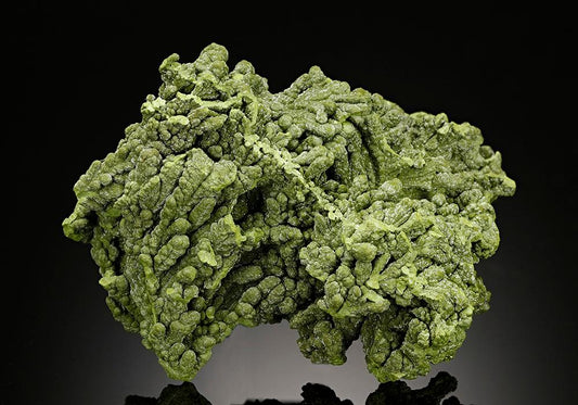 CC15671 specimen image
