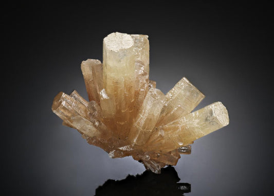 CC15683 specimen image