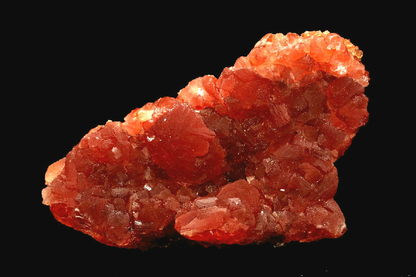 CC1569 specimen image