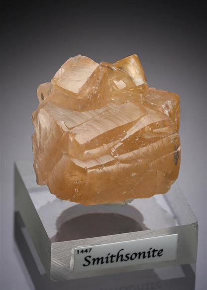 CC15695 specimen image