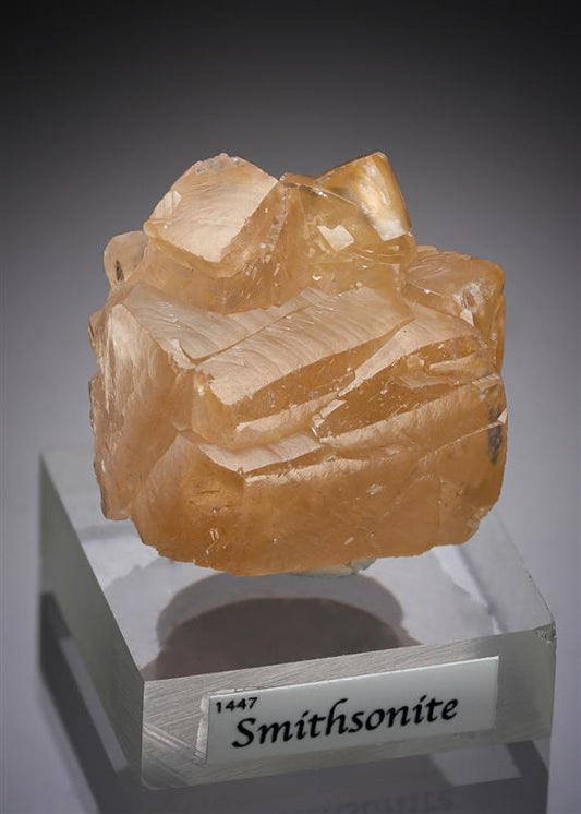 CC15695 specimen image