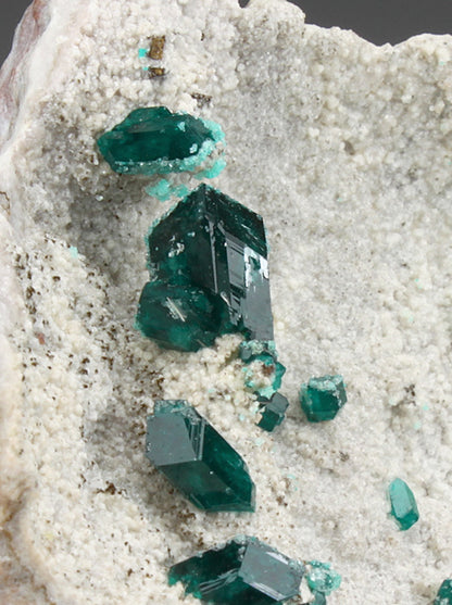 CC1570 specimen image