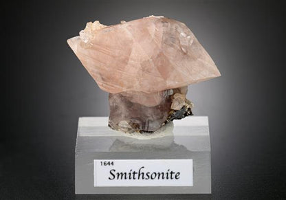 CC15702 specimen image