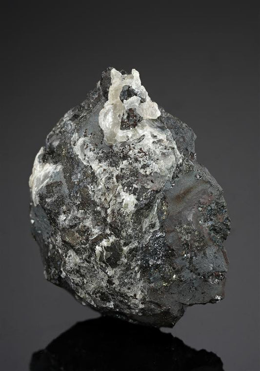 CC15704 specimen image