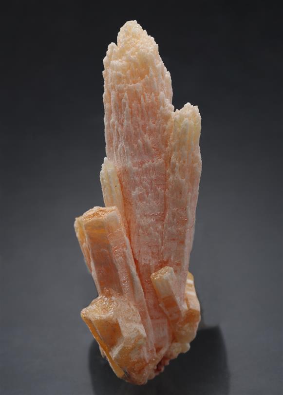 CC15710 specimen image