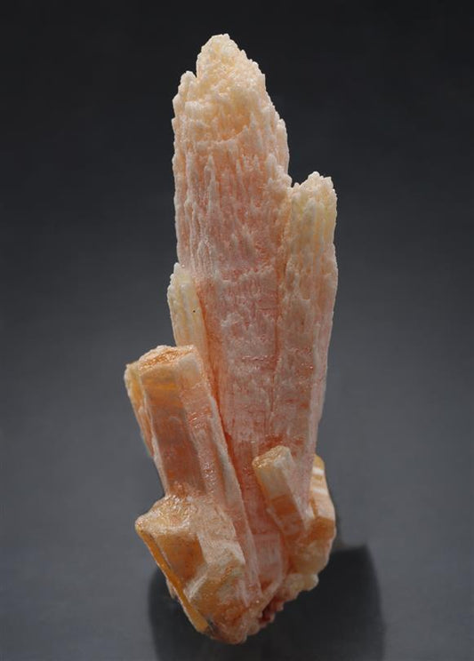 CC15710 specimen image