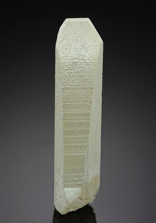 CC15712 specimen image