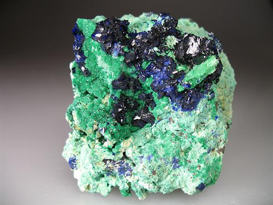 CC1572 specimen image