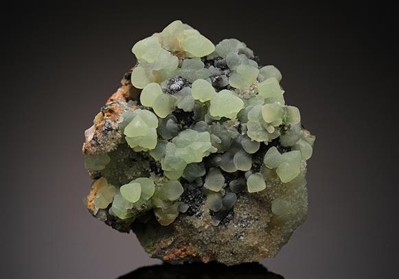 CC15723 specimen image