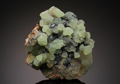 CC15723 specimen image
