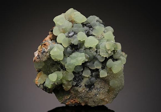 CC15723 specimen image