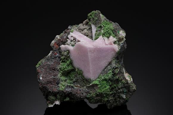 CC15728 specimen image